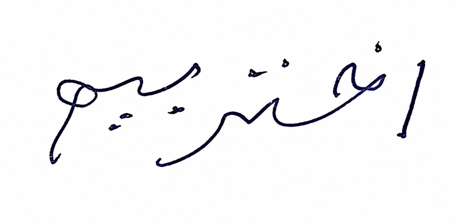 Signature preview