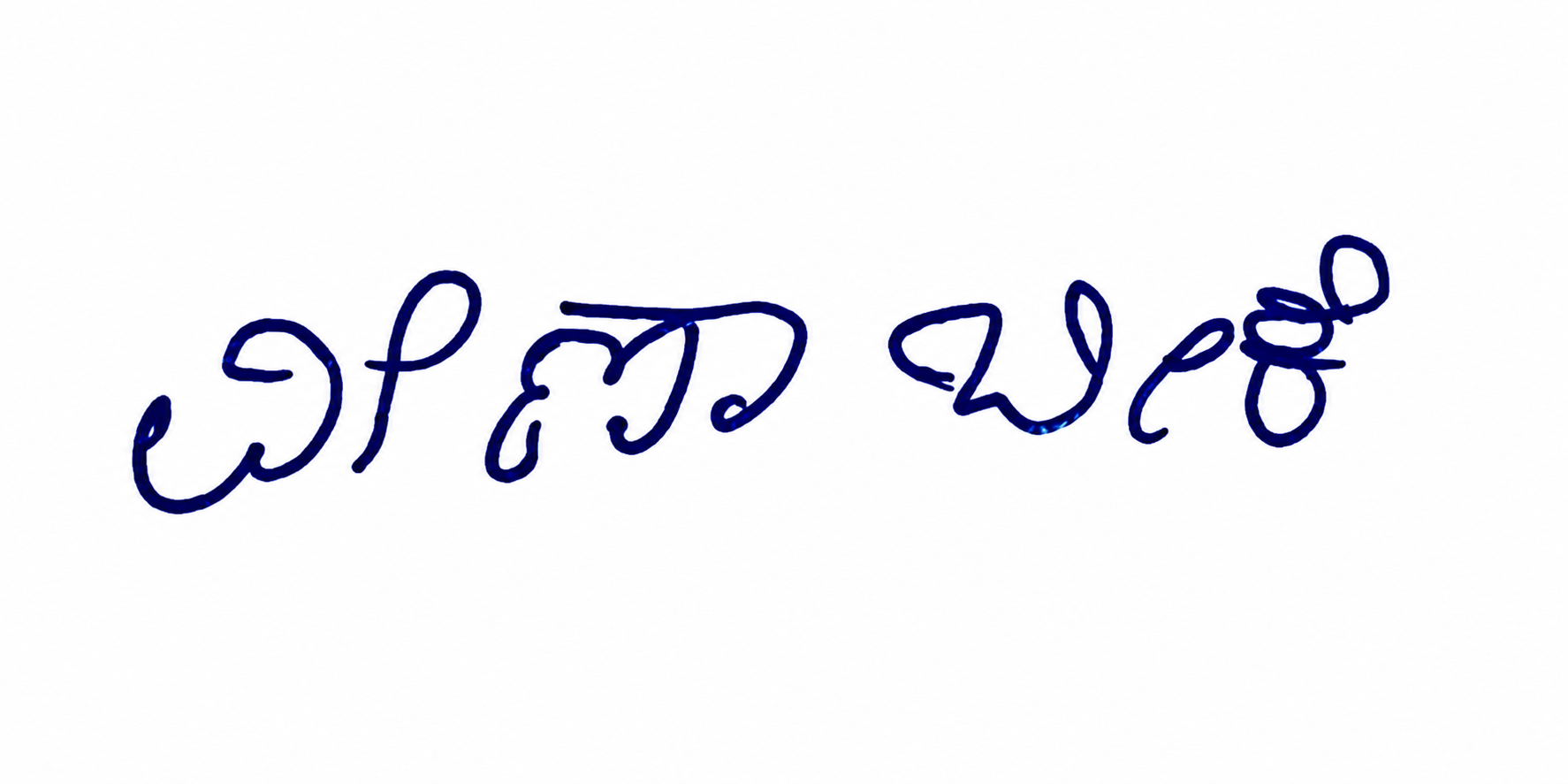 Signature preview