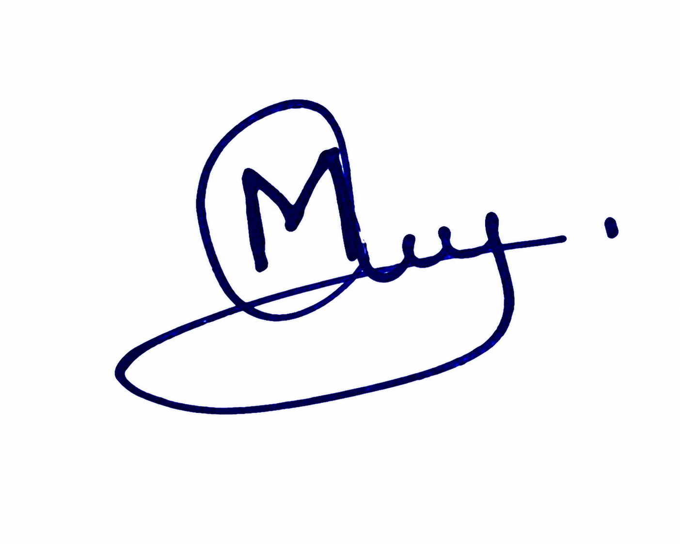 Signature preview