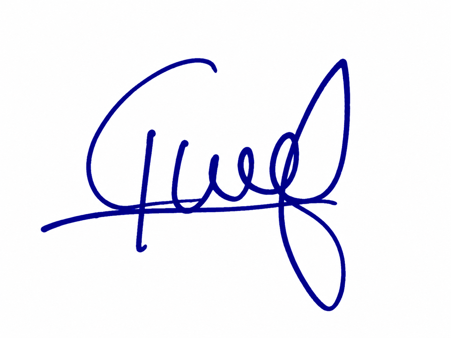 Signature preview