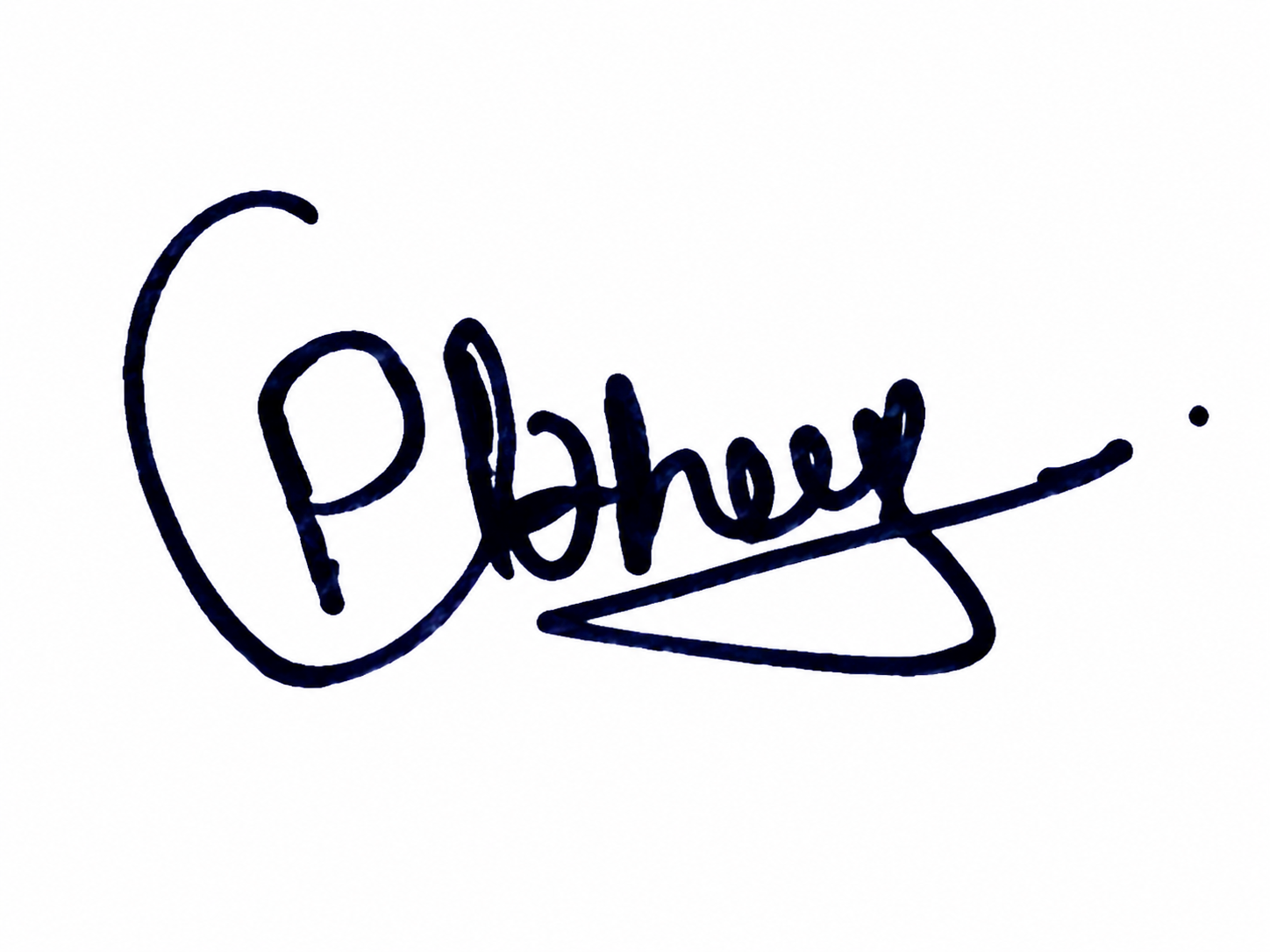 Signature preview