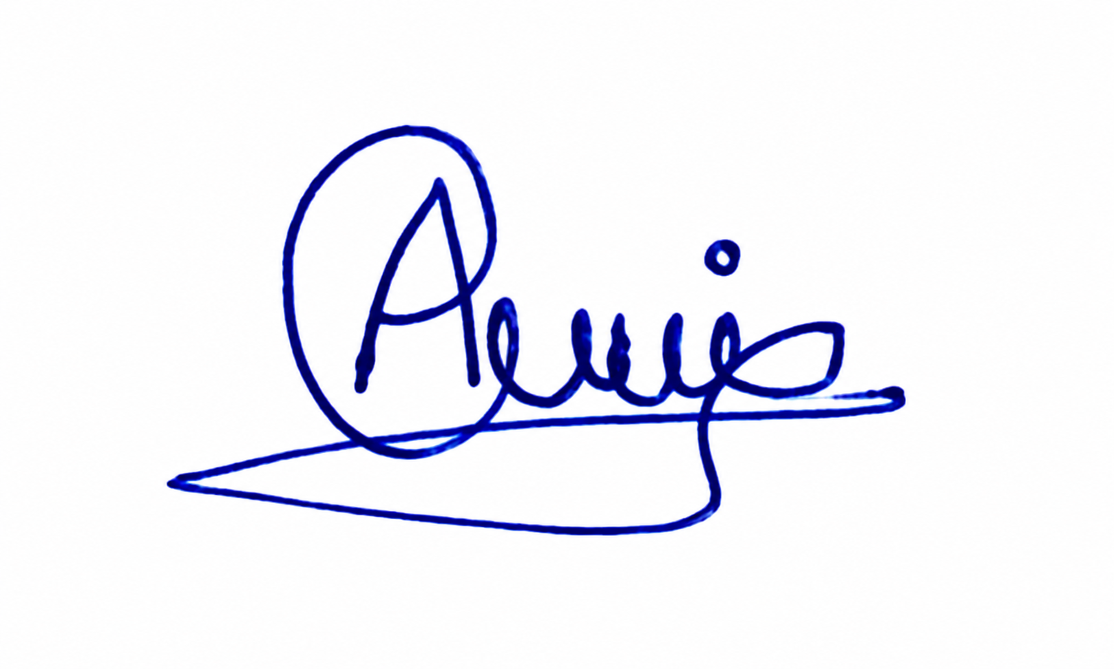 Signature preview
