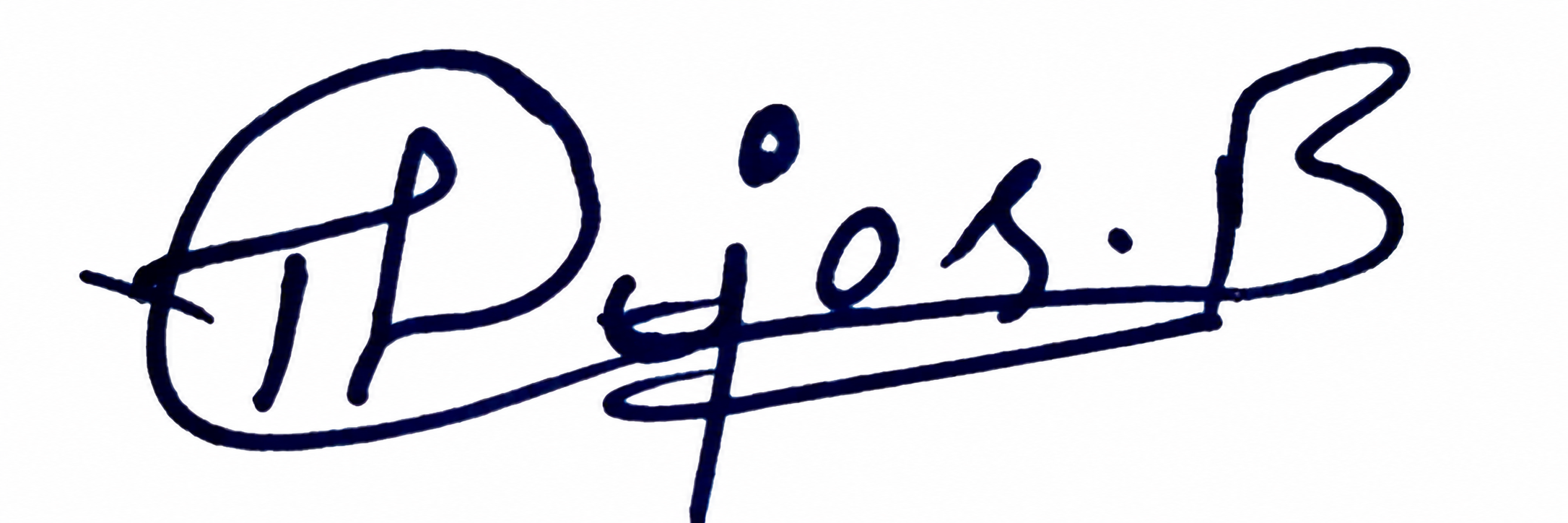 Signature preview