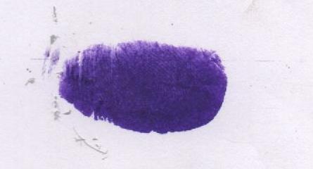Signature preview