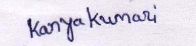 Signature preview