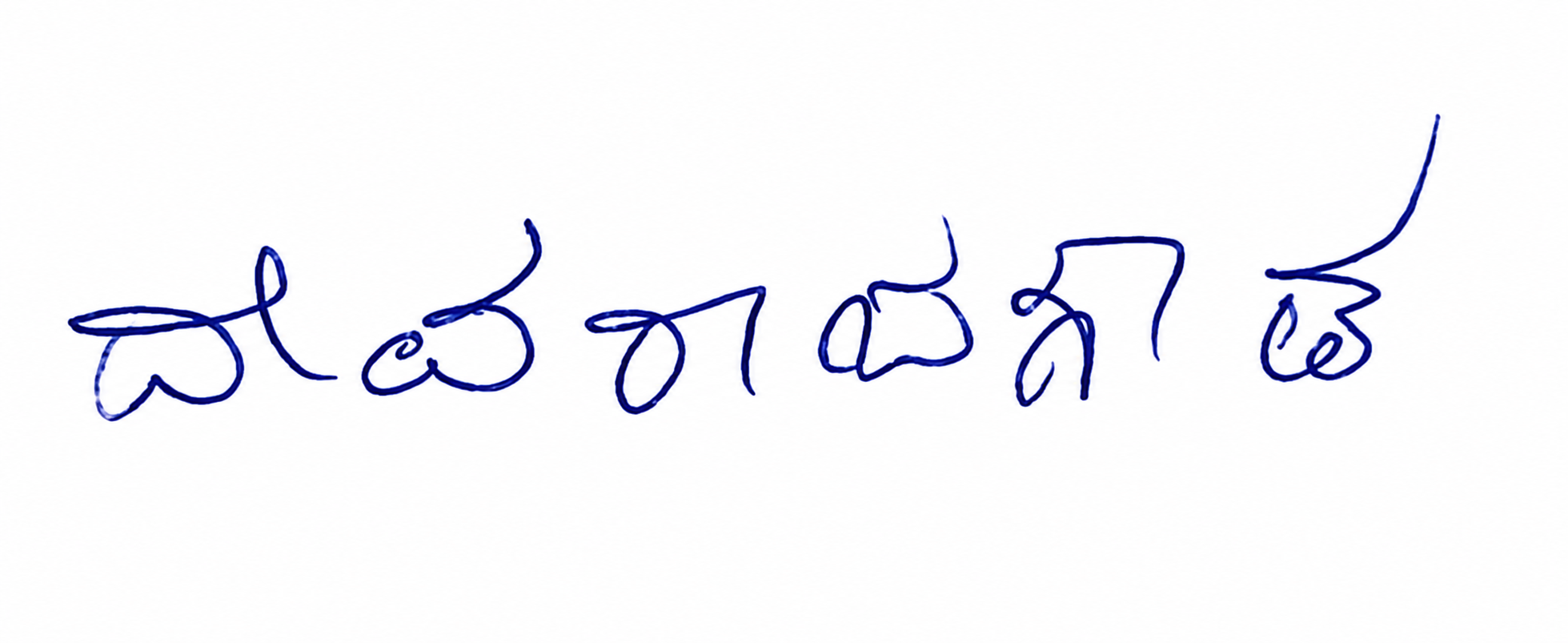 Signature preview
