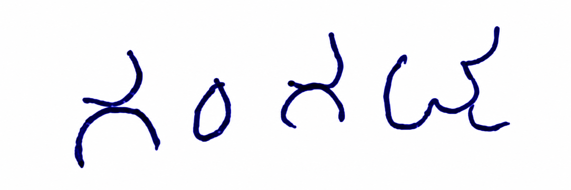 Signature preview