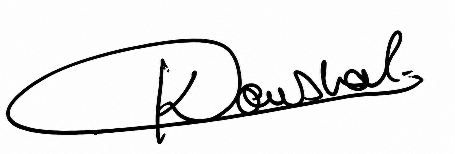 Signature preview