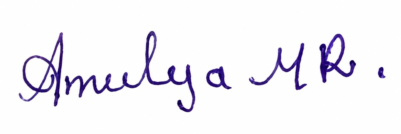 Signature preview