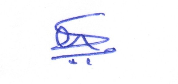 Signature preview