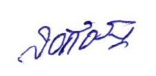 Signature preview