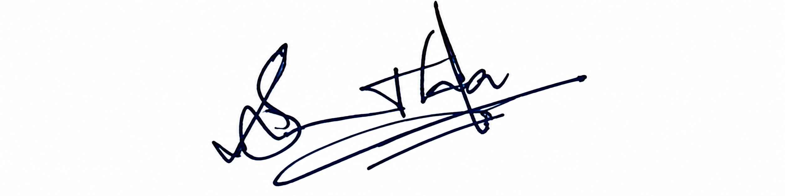 Signature preview