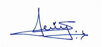 Signature preview