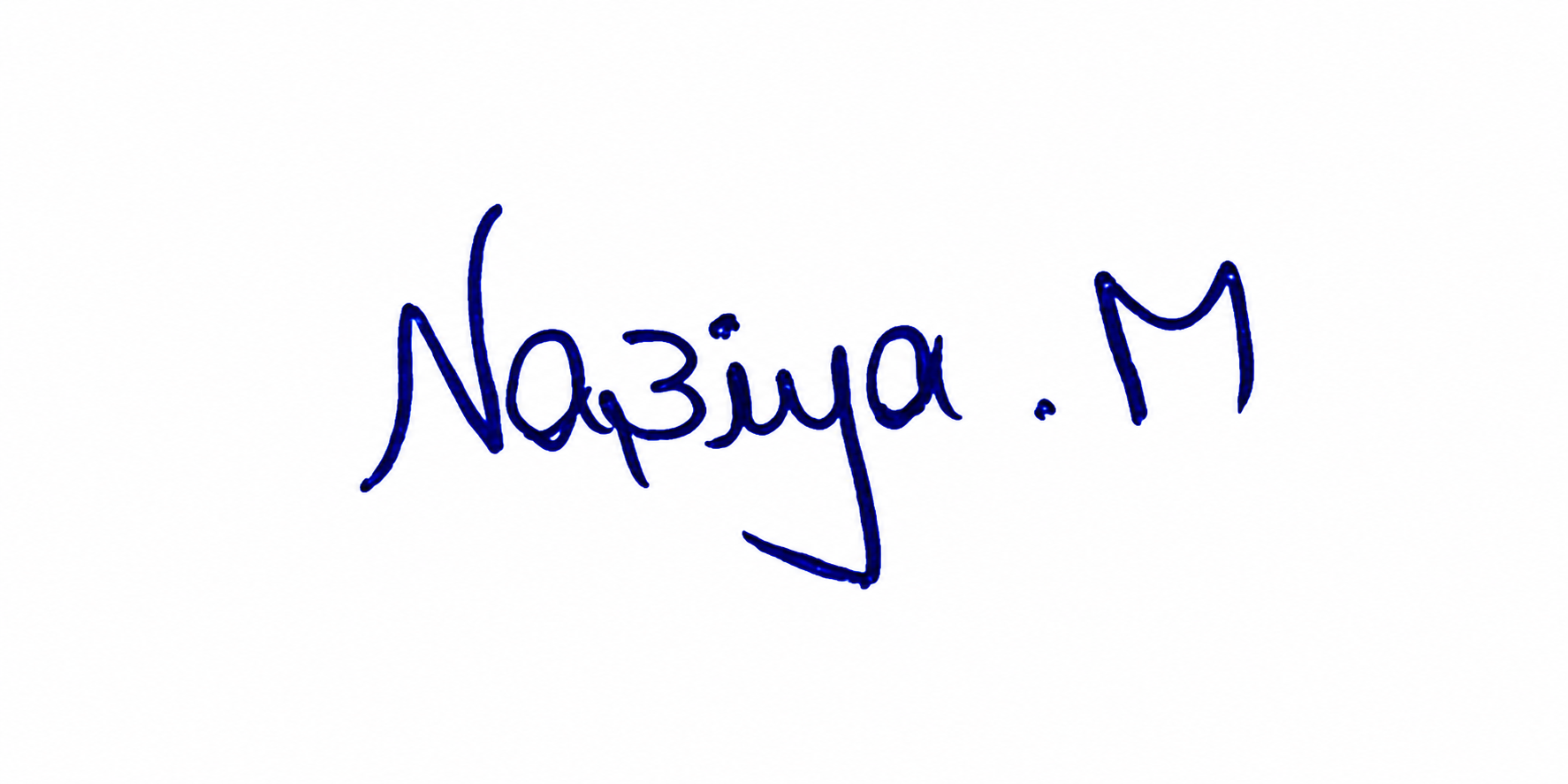 Signature preview
