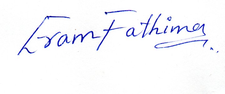 Signature preview