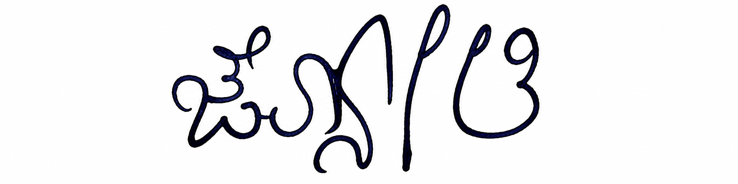 Signature preview