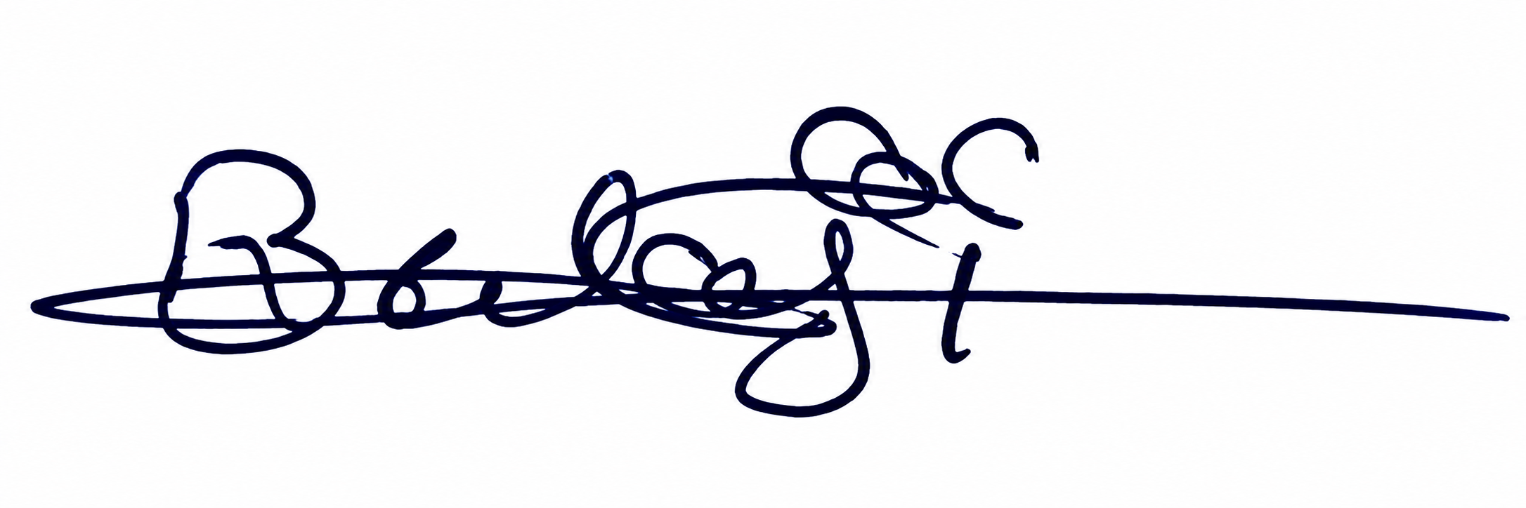 Signature preview