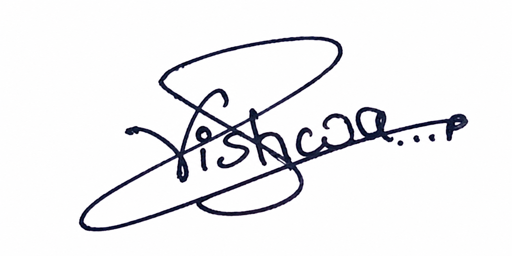 Signature preview