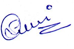 Signature preview