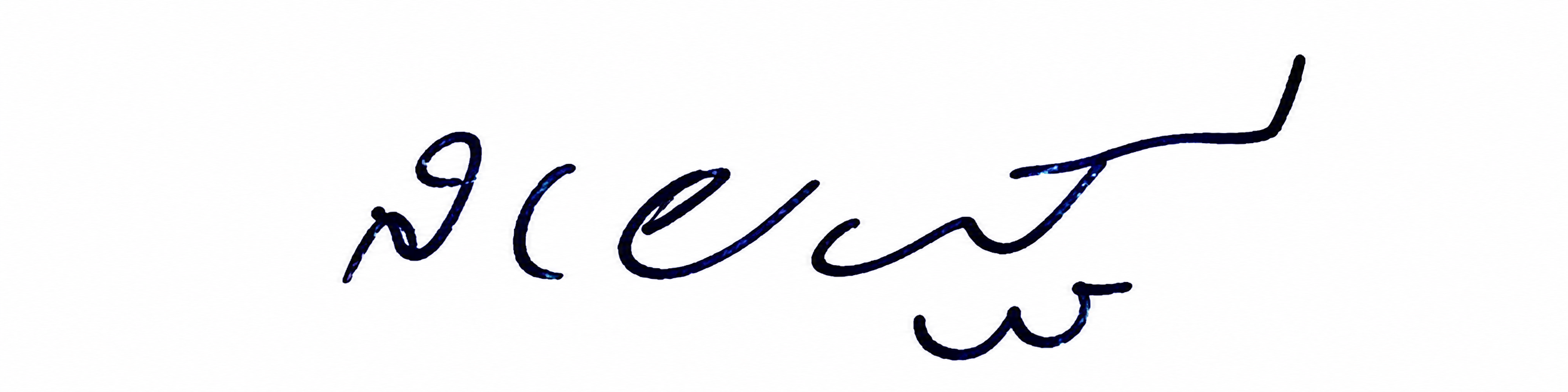 Signature preview