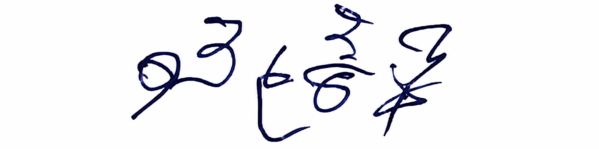 Signature preview