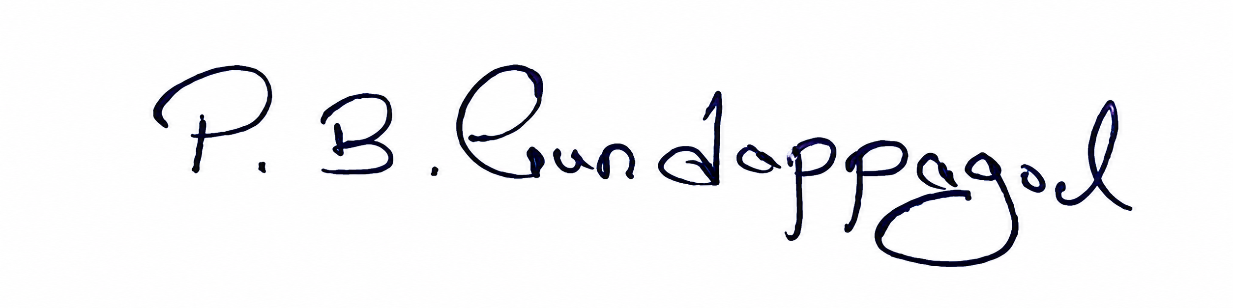Signature preview