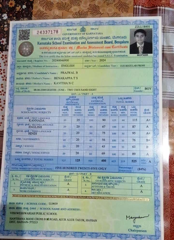 MATRICULATION CERTIFICATE OR MARK SHEET OF RECOGNISED BOARD (IN COPY) preview