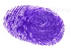 Signature preview