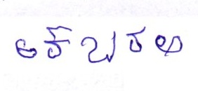 Signature preview