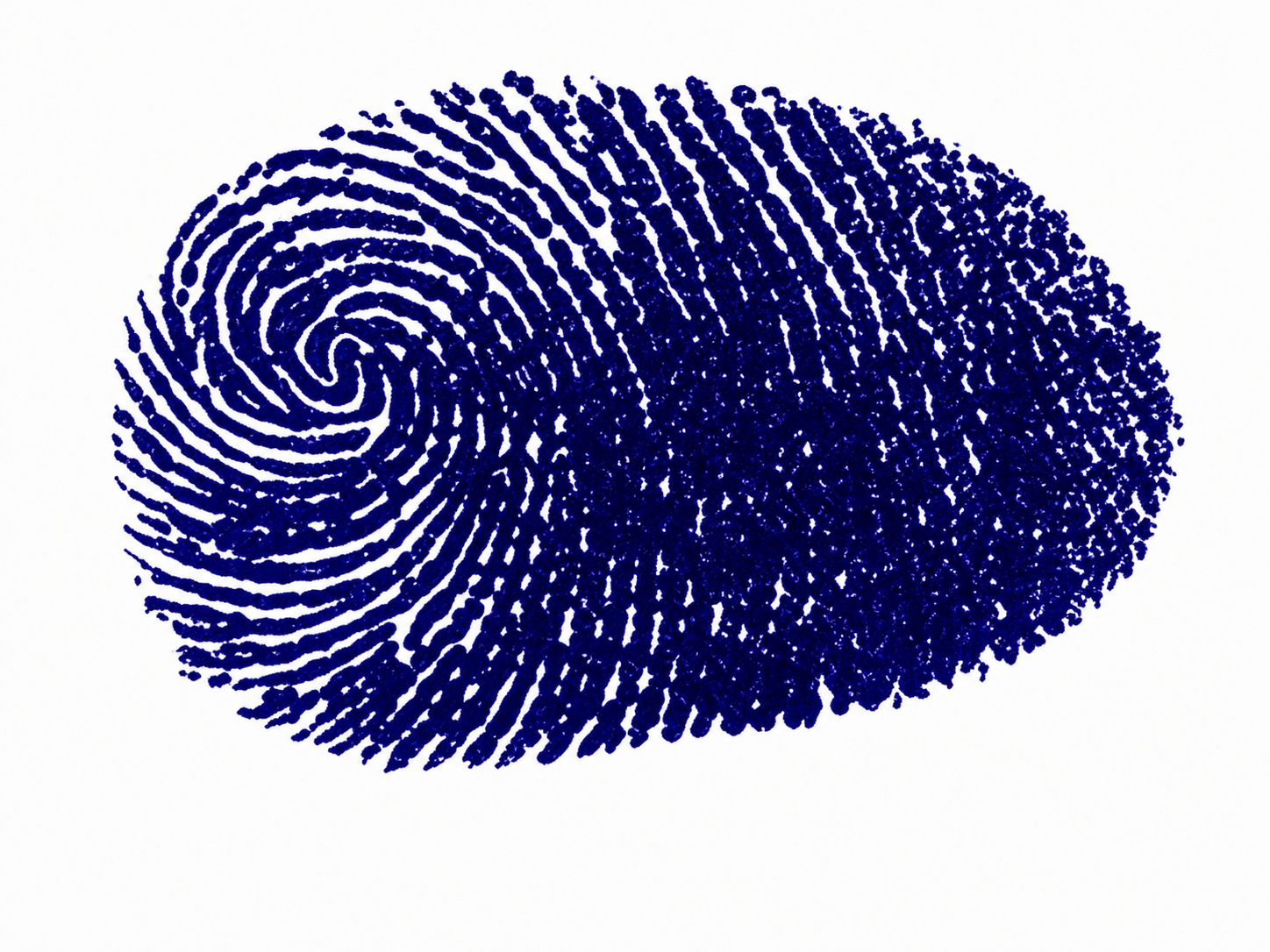 Signature preview