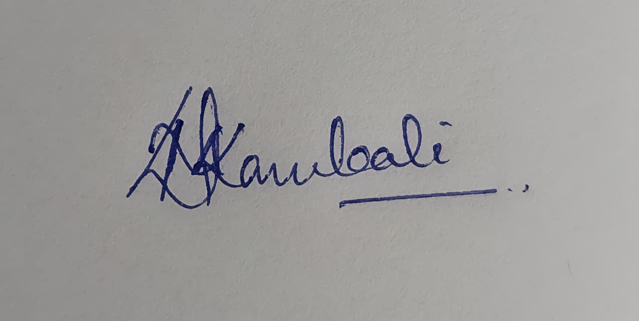 Signature preview