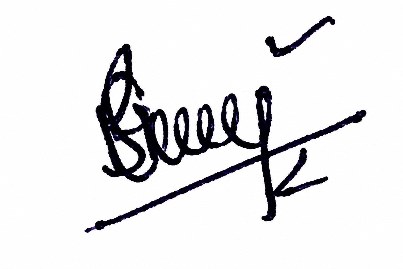 Signature preview