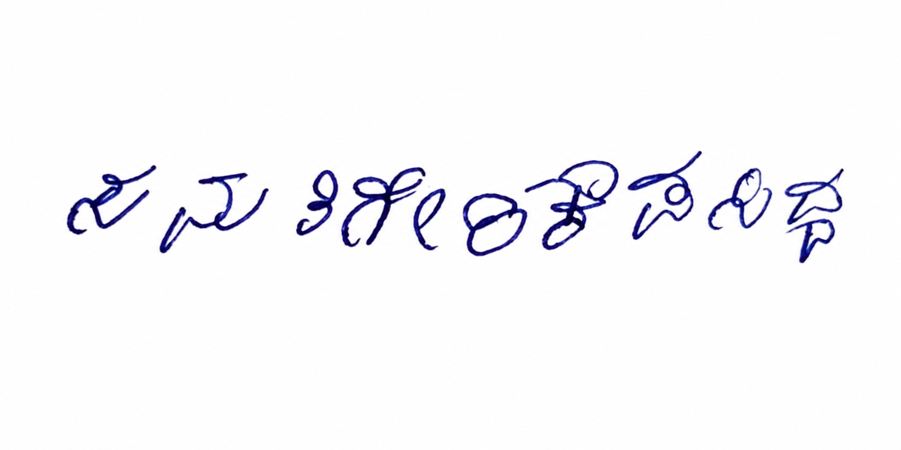 Signature preview