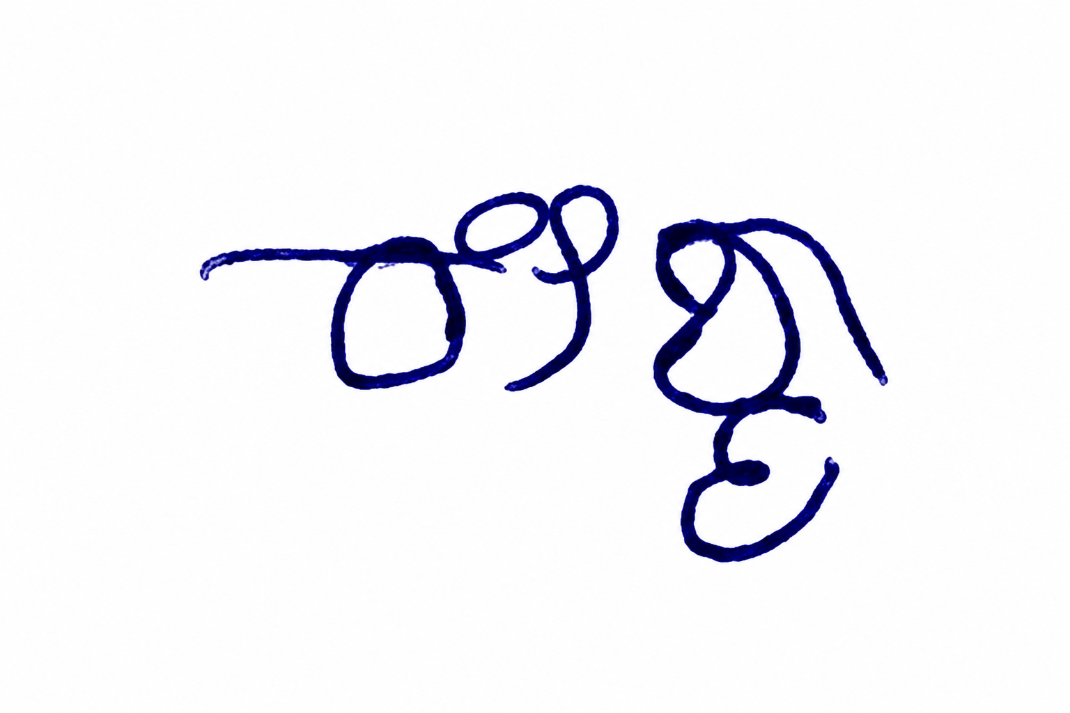 Signature preview