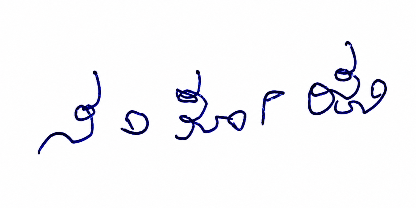 Signature preview