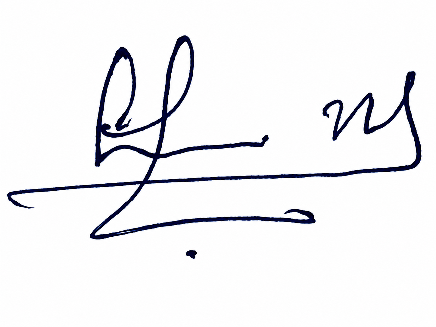 Signature preview