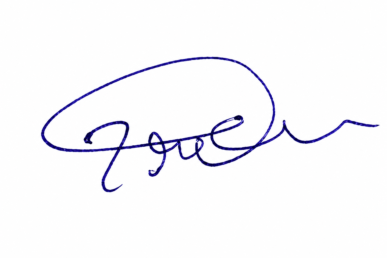 Signature preview