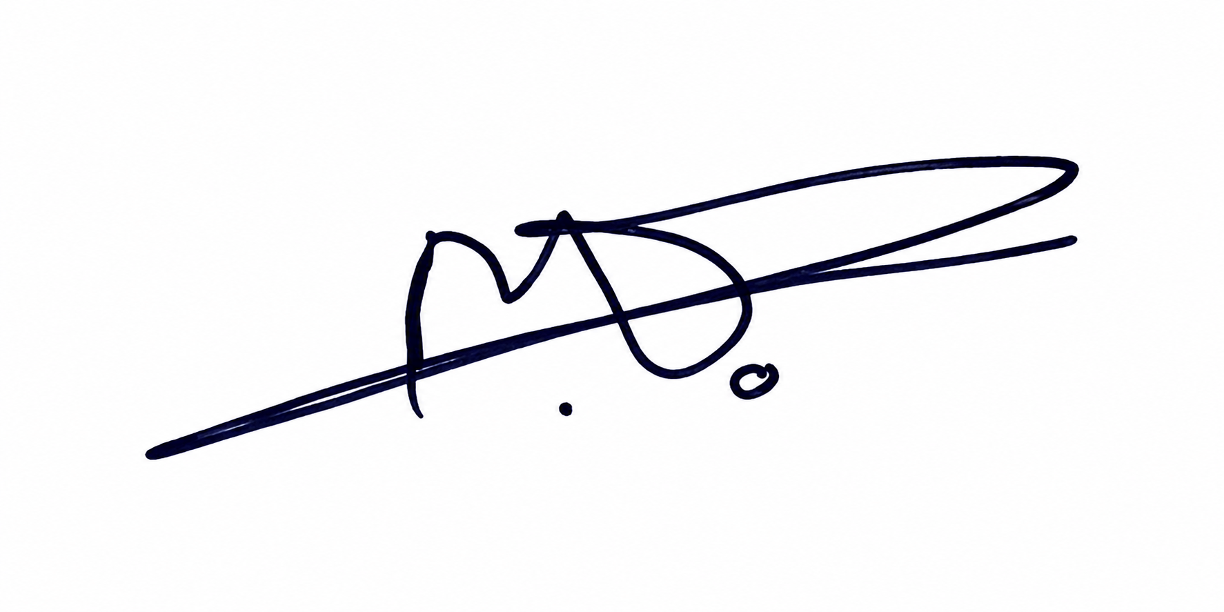 Signature preview