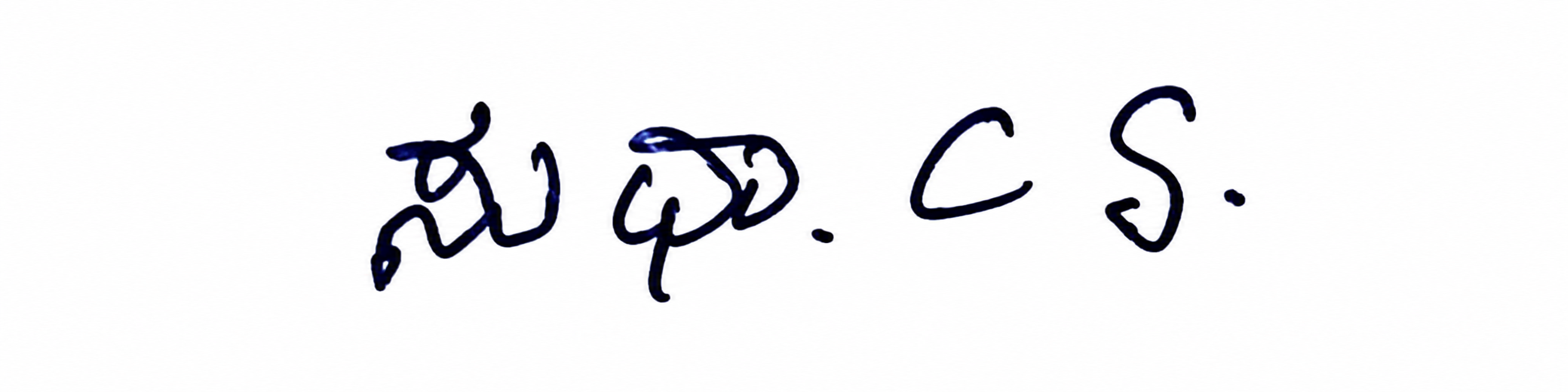 Signature preview