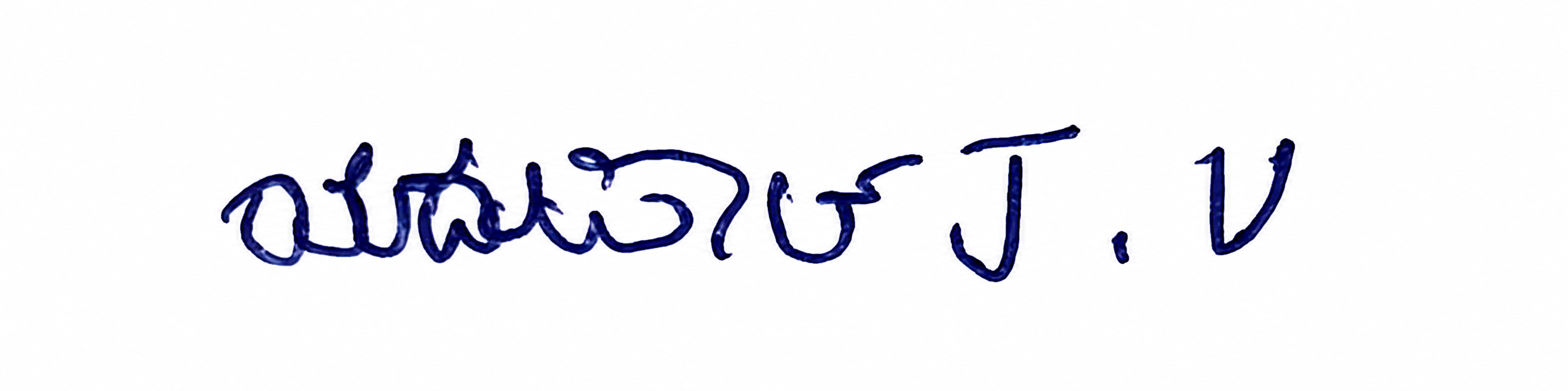 Signature preview