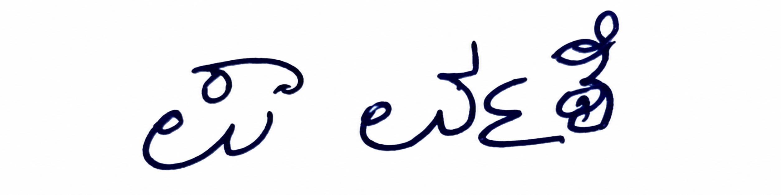 Signature preview