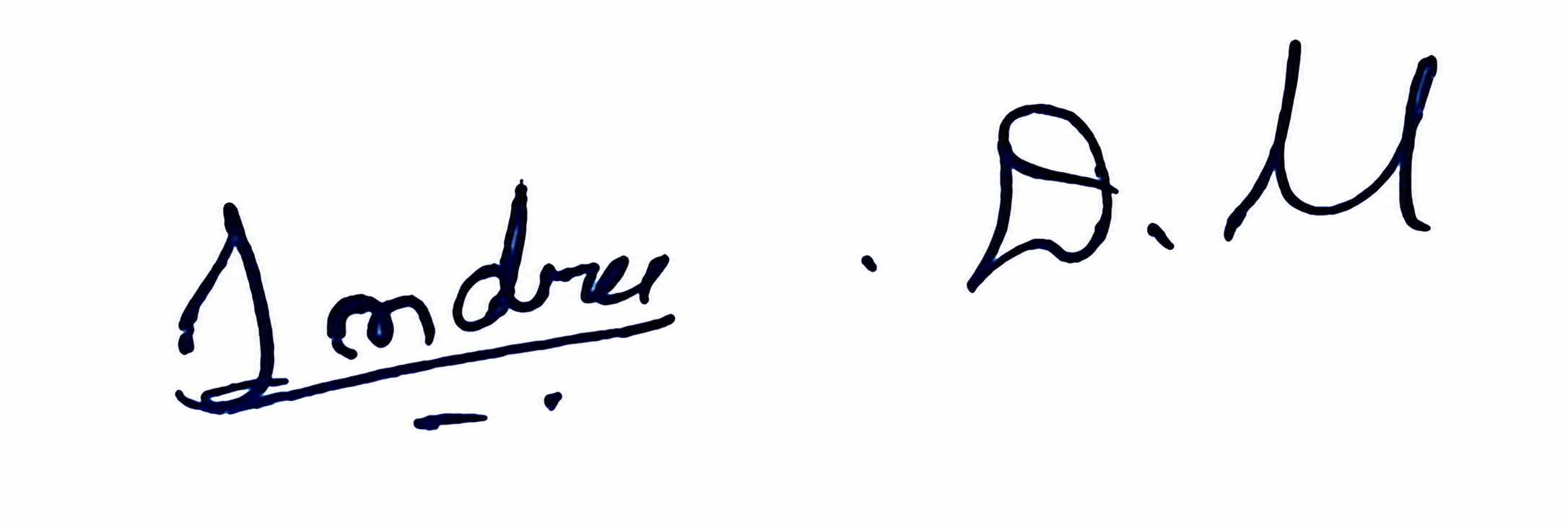 Signature preview