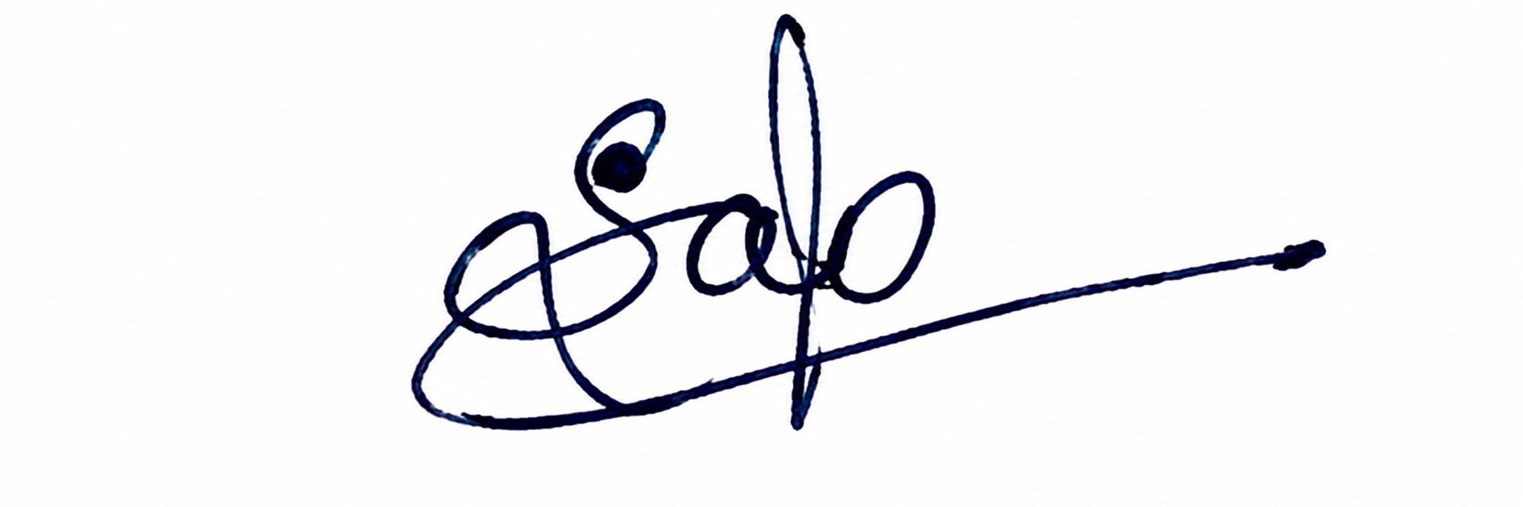 Signature preview