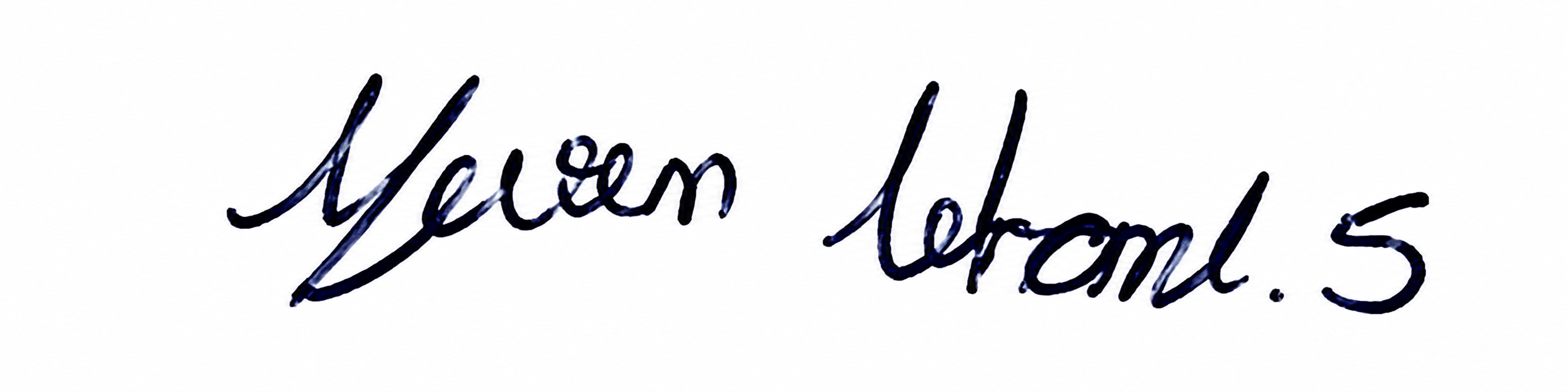 Signature preview