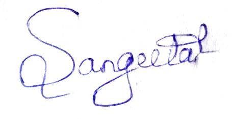 Signature preview