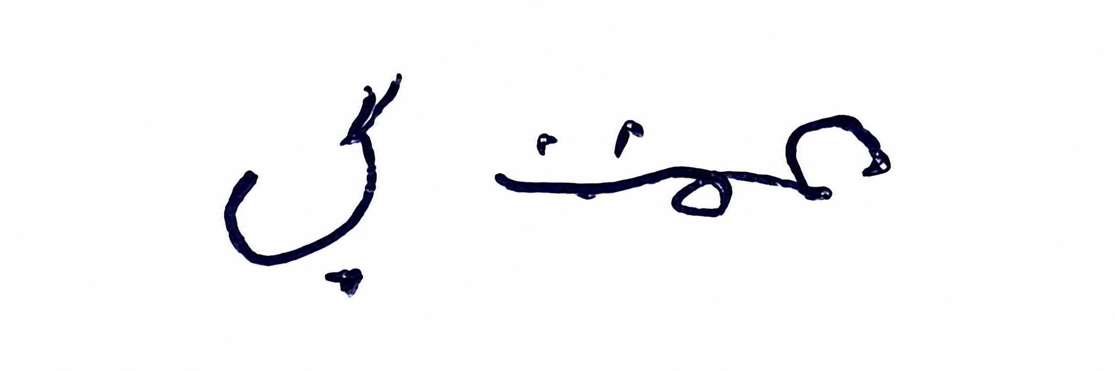 Signature preview
