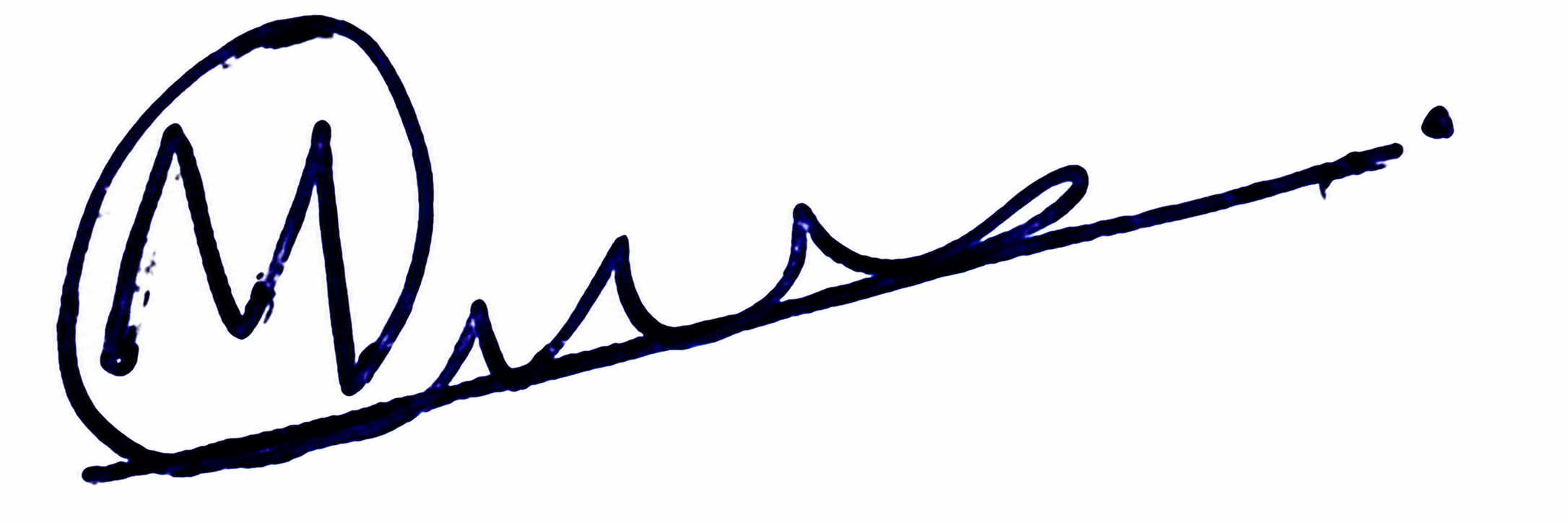Signature preview
