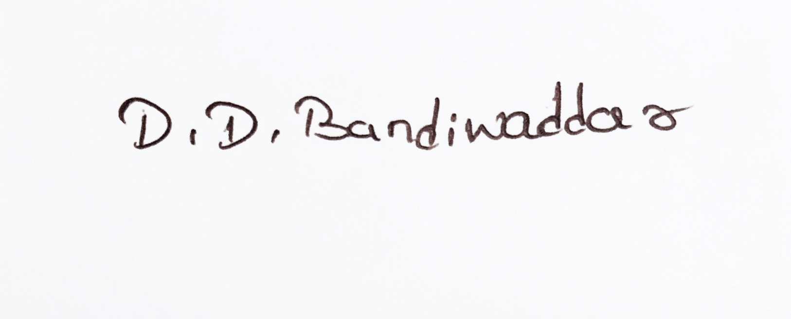 Signature preview