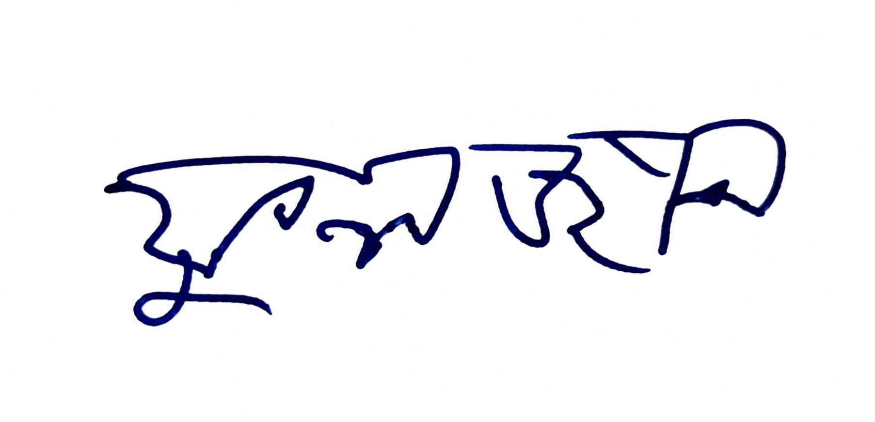 Signature preview