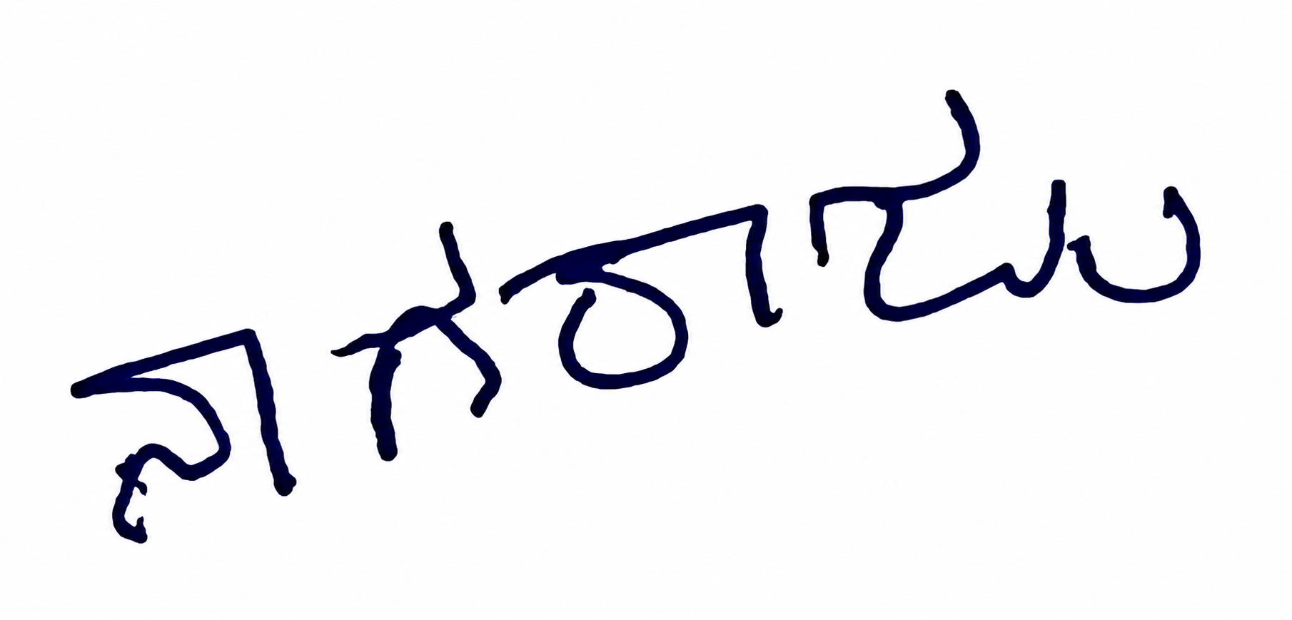 Signature preview